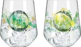 Gin Glas Set 700 ml Serie Botanic Lights Nr. 1 2 stuks Tumbler met 3D-effecten Made in Germany, groen, oranje, geel