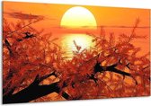 Glasschilderij Natuur - Oranje, Geel, Zwart - 120x70cm 1Luik - Foto Op Glas - Geen Acrylglas Schilderij - GroepArt 6000+ Glasschilderijen Art Collectie - Wanddecoratie - Woonkamer - Slaapkamer