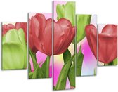 Glasschilderij -  Tulpen - Rood, Groen, Paars - 100x70cm 5Luik - Geen Acrylglas Schilderij - GroepArt 6000+ Glasschilderijen Collectie - Wanddecoratie- Foto Op Glas