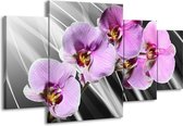 GroepArt - Schilderij -  Orchidee - Paars, Grijs - 160x90cm 4Luik - Schilderij Op Canvas - Foto Op Canvas