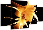 GroepArt - Schilderij -  Bloem - Oranje, Geel, Zwart - 160x90cm 4Luik - Schilderij Op Canvas - Foto Op Canvas