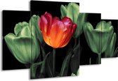 GroepArt - Schilderij -  Tulp - Oranje, Groen, Zwart - 160x90cm 4Luik - Schilderij Op Canvas - Foto Op Canvas