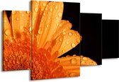 GroepArt - Schilderij -  Bloem - Zwart, Oranje - 160x90cm 4Luik - Schilderij Op Canvas - Foto Op Canvas