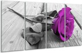 Peinture sur verre rose | Violet, gris | 160x80cm 4 Liège | Tirage photo sur verre |  F001728