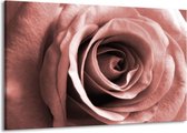 Peinture | Peinture sur toile Rose, Fleur | Marron, rouge | 140x90cm 1 Liège | Tirage photo sur toile