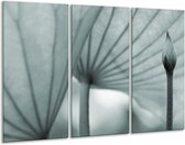 GroepArt - Schilderij -  Bloem - Grijs, Groen - 120x80cm 3Luik - 6000+ Schilderijen 0p Canvas Art Collectie