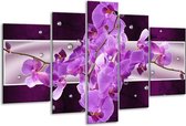 Glasschilderij Orchidee - Paars - 170x100cm 5Luik - Foto Op Glas - Geen Acrylglas Schilderij - 6000+ Glasschilderijen Collectie - Wanddecoratie