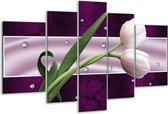 Peinture sur verre tulipe | Violet, vert, vert | 170x100cm 5 Liège | Tirage photo sur verre |  F005619