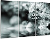 Peinture sur verre Insecte | Gris, noir, vert | 120x80cm 3 Liège | Tirage photo sur verre |  F006740