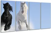GroepArt - Glasschilderij - Paard, Dieren - Blauw, Zwart, Wit - 160x80cm 4Luik - Foto Op Glas - Geen Acrylglas Schilderij - 6000+ Glasschilderijen Collectie - Wanddecoratie