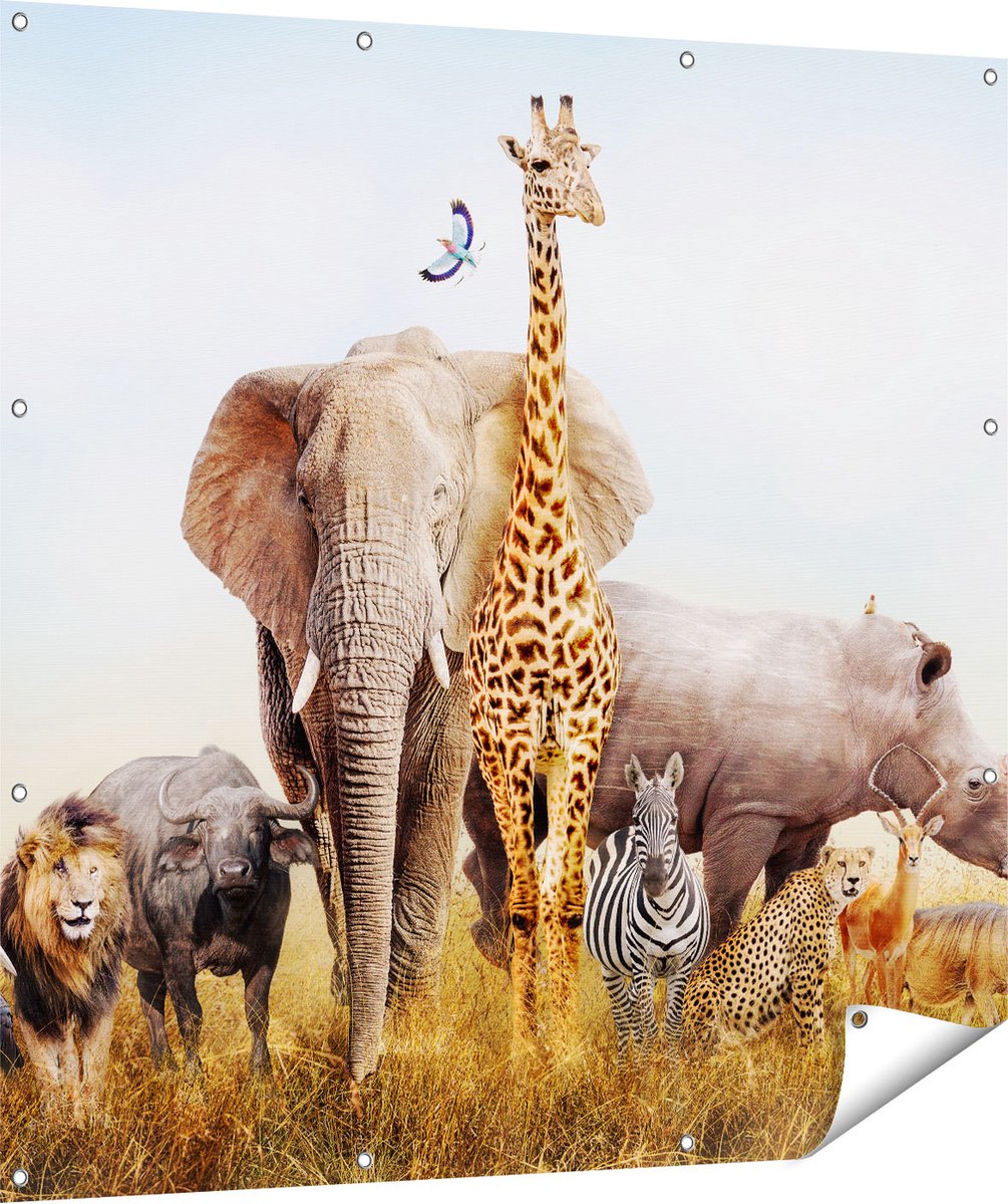 Gards Tuinposter Afrikaanse Dieren op het Gras - Afrika - 120x120 cm - Tuindoek - Tuindecoratie - Wanddecoratie buiten - Tuinschilderij Multikleur