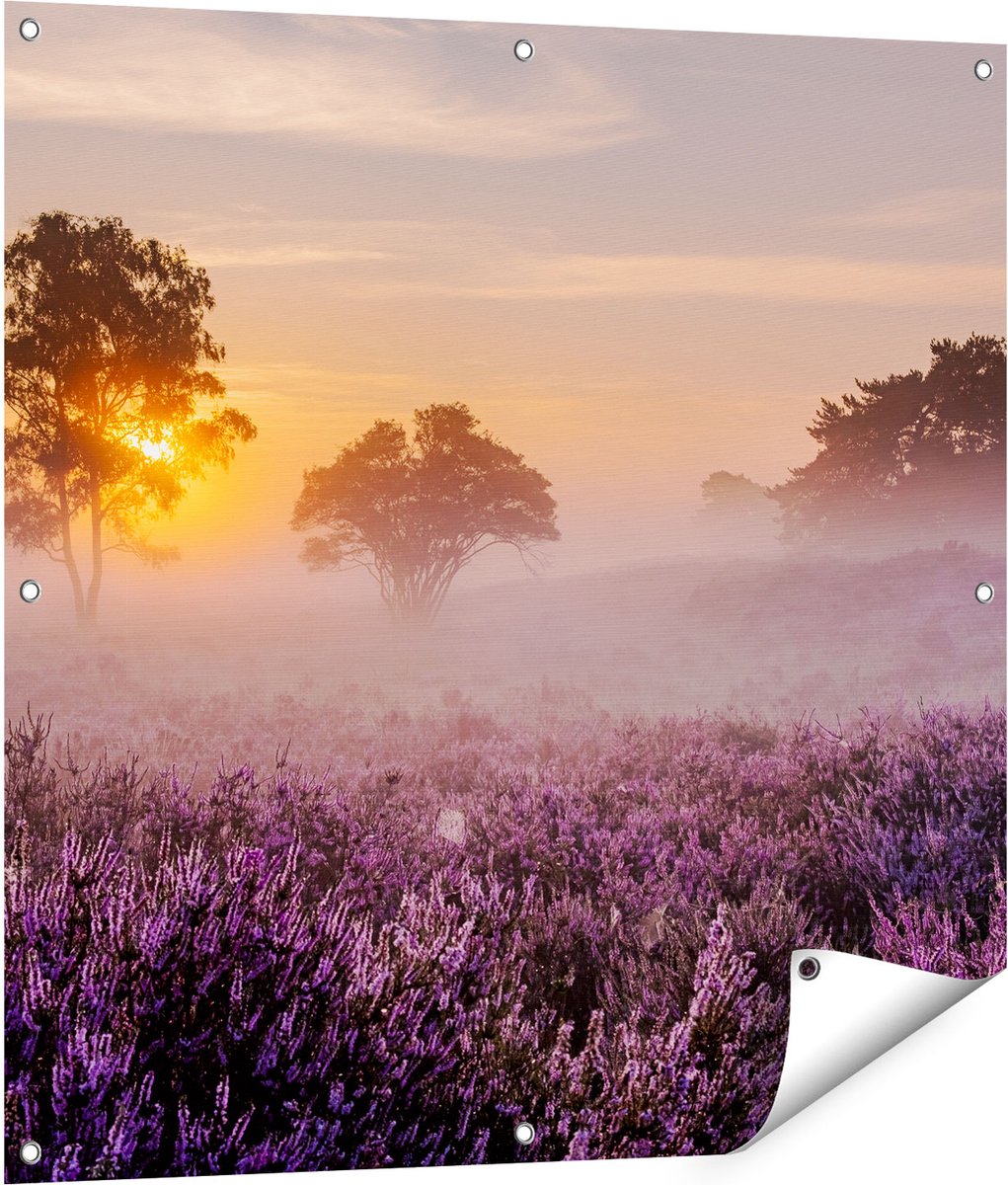 Gards Tuinposter Weide in de Veluwe bij Zonsondergang - 90x90 cm - Tuindoek - Tuindecoratie - Wanddecoratie buiten - Tuinschilderij Multikleur