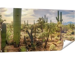 Gards Tuinposter Cactus Planten in het Wild - 140x70 cm - Tuindoek - Tuindecoratie - Wanddecoratie buiten - Tuinschilderij