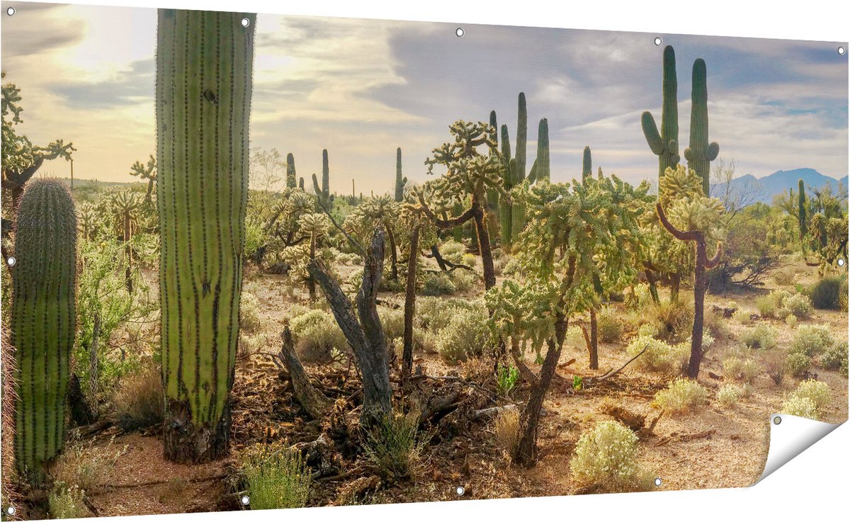 Gards Tuinposter Cactus Planten in het Wild - 200x100 cm - Tuindoek - Tuindecoratie - Wanddecoratie buiten - Tuinschilderij Multikleur