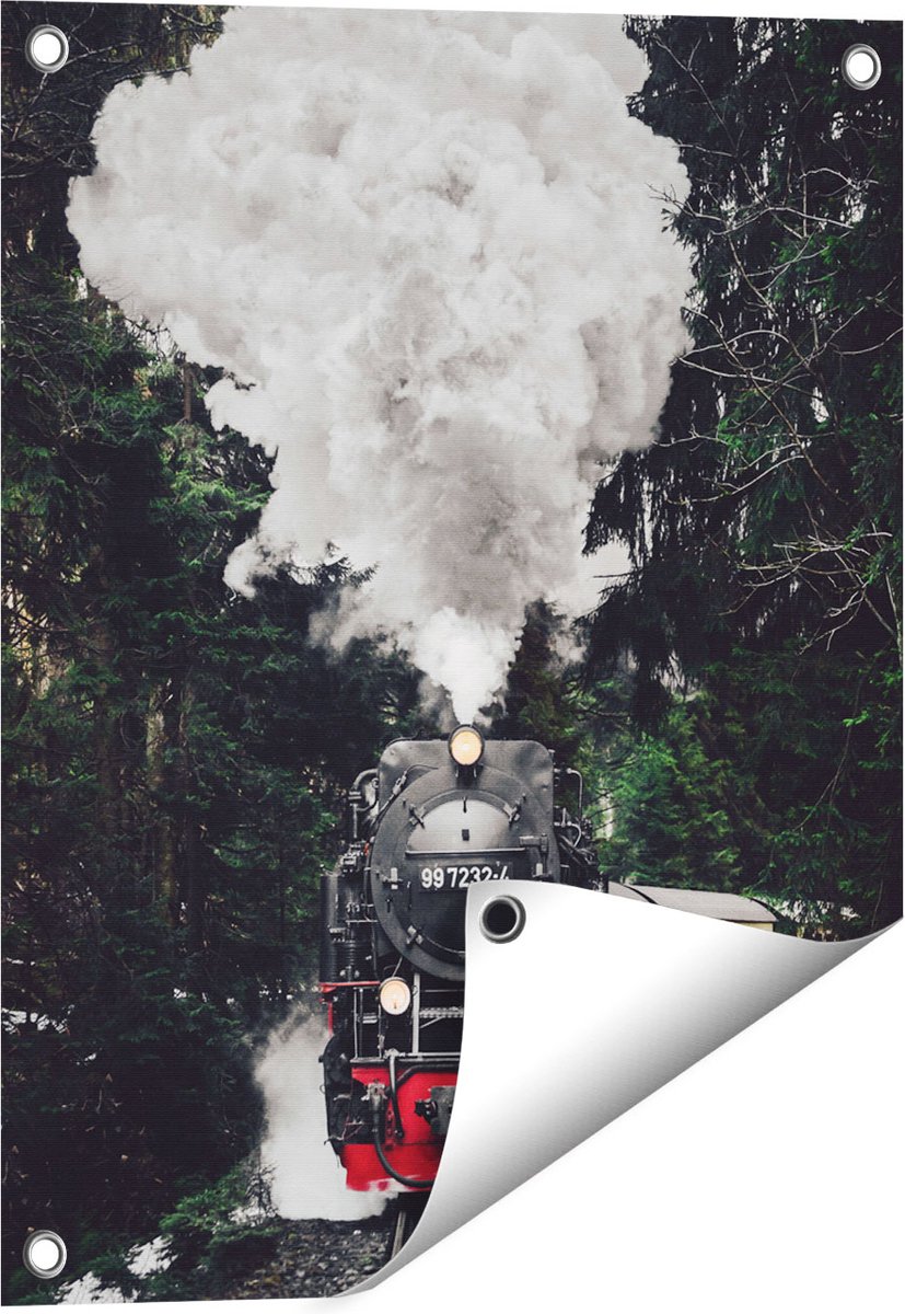 Gards Tuinposter Locomotief in de Bossen met Stoom Wolken - 40x50 cm - Tuindoek - Tuindecoratie - Wanddecoratie buiten - Tuinschilderij Multikleur