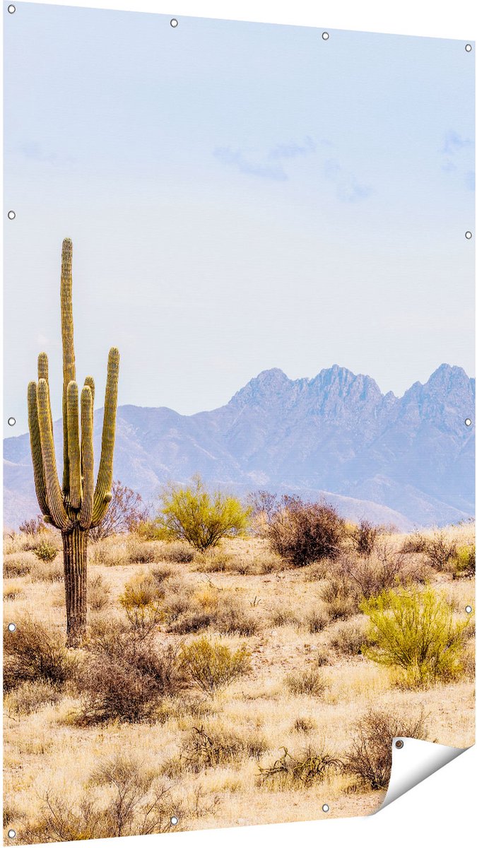 Gards Tuinposter Cactussen in de Woestijn - 120x180 cm - Tuindoek - Tuindecoratie - Wanddecoratie buiten - Tuinschilderij Multikleur