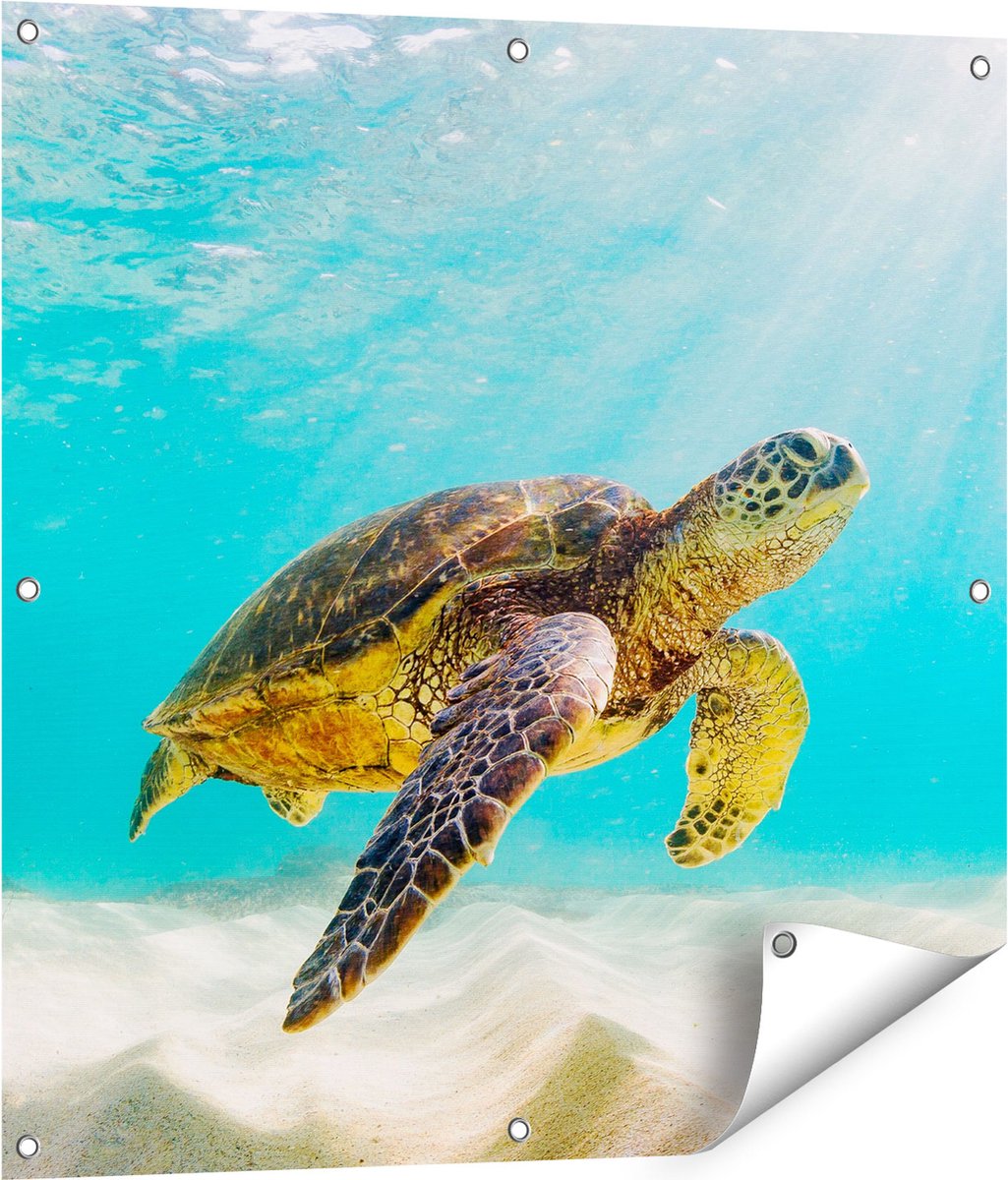 Gards Tuinposter Schildpad Zwemt in de Helder Blauwe Zee - 80x80 cm - Tuindoek - Tuindecoratie - Wanddecoratie buiten - Tuinschilderij Multikleur