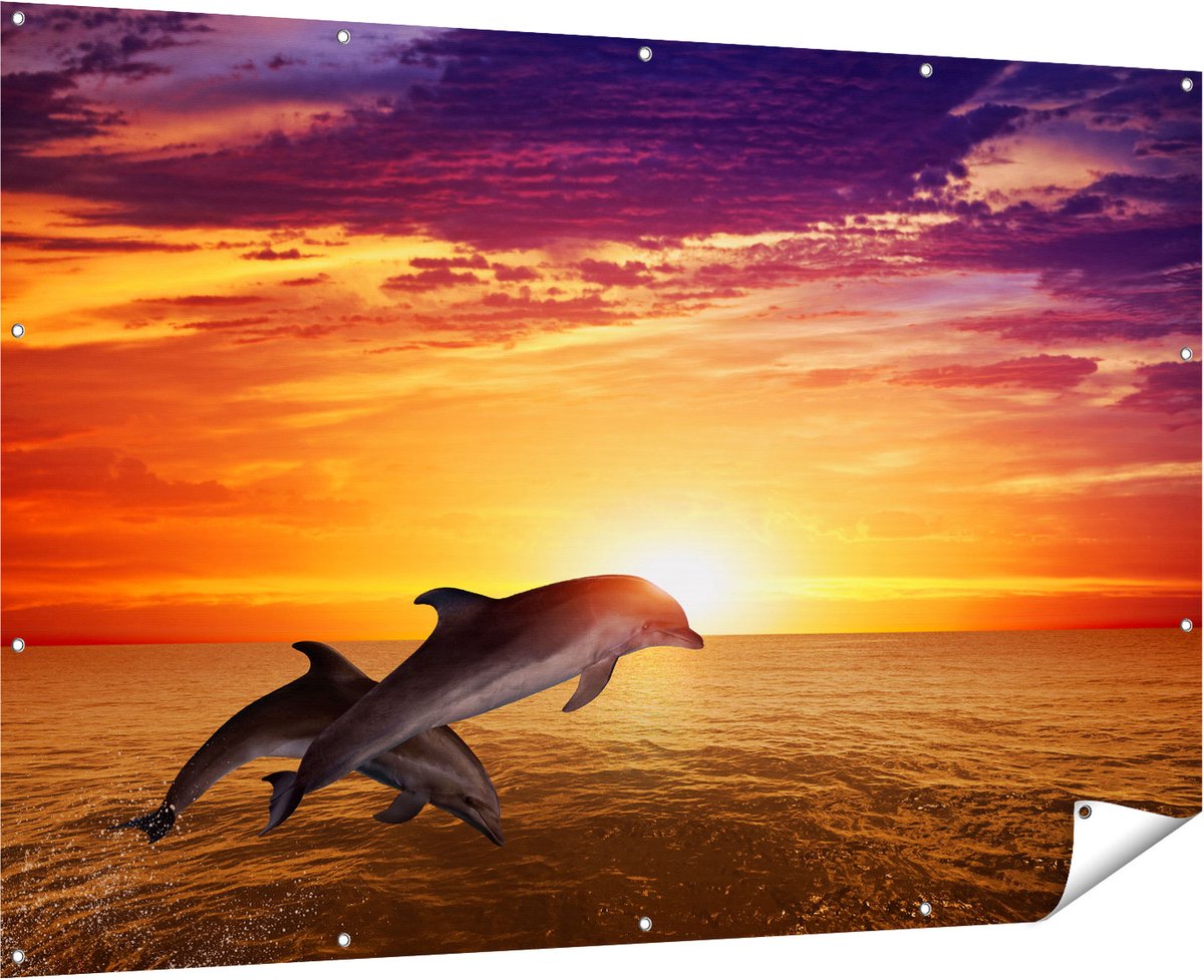 Gards Tuinposter Twee Dolfijnen bij de Zonsondergang - 180x120 cm - Tuindoek - Tuindecoratie - Wanddecoratie buiten - Tuinschilderij Multikleur