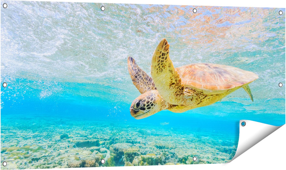 Gards Tuinposter Schildpad Zwemt in de Zee bij het Rif - 120x60 cm - Tuindoek - Tuindecoratie - Wanddecoratie buiten - Tuinschilderij Multikleur