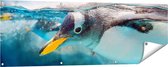 Gards Tuinposter Pingu�n Zwemt onder Water - 150x50 cm - Tuindoek - Tuindecoratie - Wanddecoratie buiten - Tuinschilderij