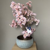 Seta Fiori - Bloesemboompje lila roze - 60cm -