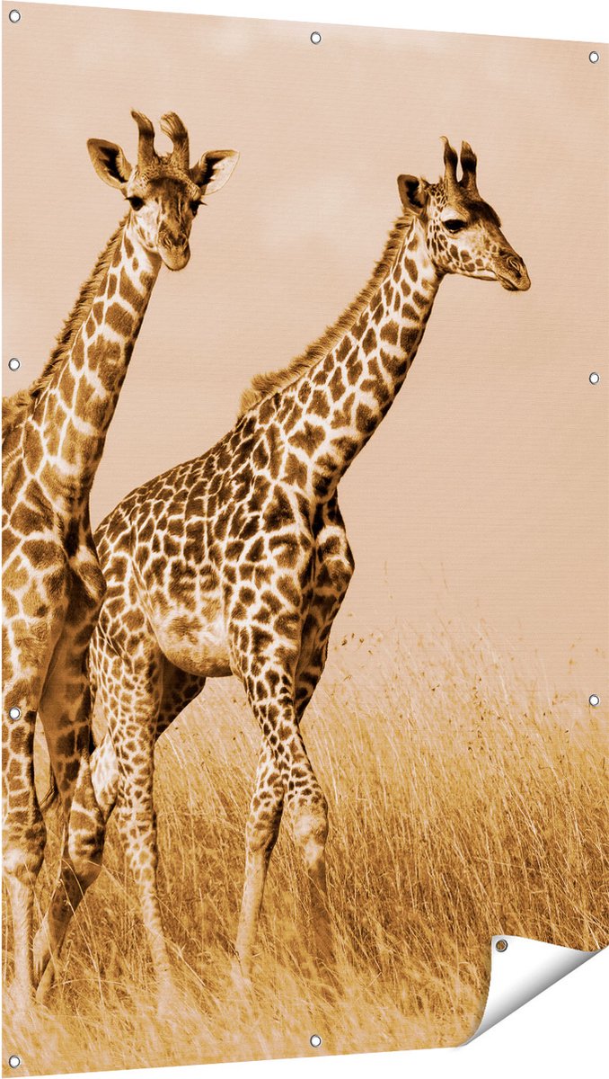 Gards Tuinposter Twee Giraffes in het Veld - 100x150 cm - Tuindoek - Tuindecoratie - Wanddecoratie buiten - Tuinschilderij Multikleur