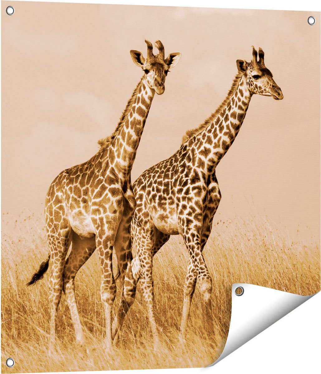 Gards Tuinposter Twee Giraffes in het Veld - 70x70 cm - Tuindoek - Tuindecoratie - Wanddecoratie buiten - Tuinschilderij Multikleur