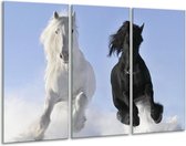 Glasschilderij Paarden - Wit, Zwart, Blauw - 120x80cm 3Luik - Foto Op Glas - Geen Acrylglas Schilderij - GroepArt 6000+ Glas Art Collectie - Maatwerk Mogelijk