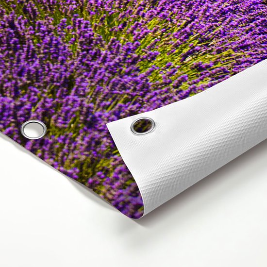 Gards Affiche de jardin Arbre Vert dans les Fleurs de Lavande - 100x150 cm - Toile jardin - Décoration de jardin - Décoration murale extérieur - Tableau jardin