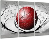 Glasschilderij Art - Rood, Grijs, Zwart - 120x80cm 3Luik - Foto Op Glas - Geen Acrylglas Schilderij - GroepArt 6000+ Glas Art Collectie - Maatwerk Mogelijk