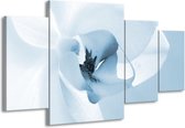 GroepArt - Schilderij -  Bloem - Blauw, Wit - 160x90cm 4Luik - Schilderij Op Canvas - Foto Op Canvas