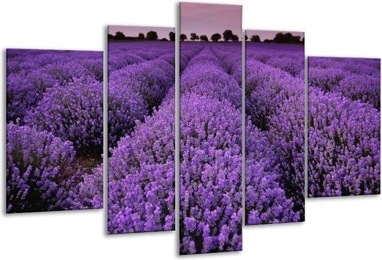Glasschilderij Lavendel, Landelijk - Paars - 170x100cm 5Luik - Foto Op Glas - Geen Acrylglas Schilderij - 6000+ Glasschilderijen Collectie - Wanddecoratie