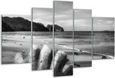 Glasschilderij Schelp, Strand - Zwart, Grijs - 170x100cm 5Luik - Foto Op Glas - Geen Acrylglas Schilderij - 6000+ Glasschilderijen Collectie - Wanddecoratie