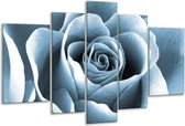 Glasschilderij Roos, Bloem - Blauw, Grijs - 170x100cm 5Luik - Foto Op Glas - Geen Acrylglas Schilderij - 6000+ Glasschilderijen Collectie - Wanddecoratie