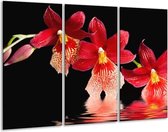 GroepArt - Schilderij -  Orchidee - Rood, Zwart, Wit - 120x80cm 3Luik - 6000+ Schilderijen 0p Canvas Art Collectie