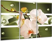 GroepArt - Schilderij -  Orchidee - Groen, Roze, Wit - 120x80cm 3Luik - 6000+ Schilderijen 0p Canvas Art Collectie