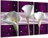 GroepArt - Schilderij -  Bloem - Wit, Paars - 120x80cm 3Luik - 6000+ Schilderijen 0p Canvas Art Collectie