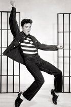 Poster / Papier - Filmsterren - Retro / Vintage - Elvis Presley in wit / grijs / zwart - 40 x 60 cm