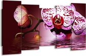 GroepArt - Canvas Schilderij - Orchidee - Paars, Roze, Rood - 150x80cm 5Luik- Groot Collectie Schilderijen Op Canvas En Wanddecoraties