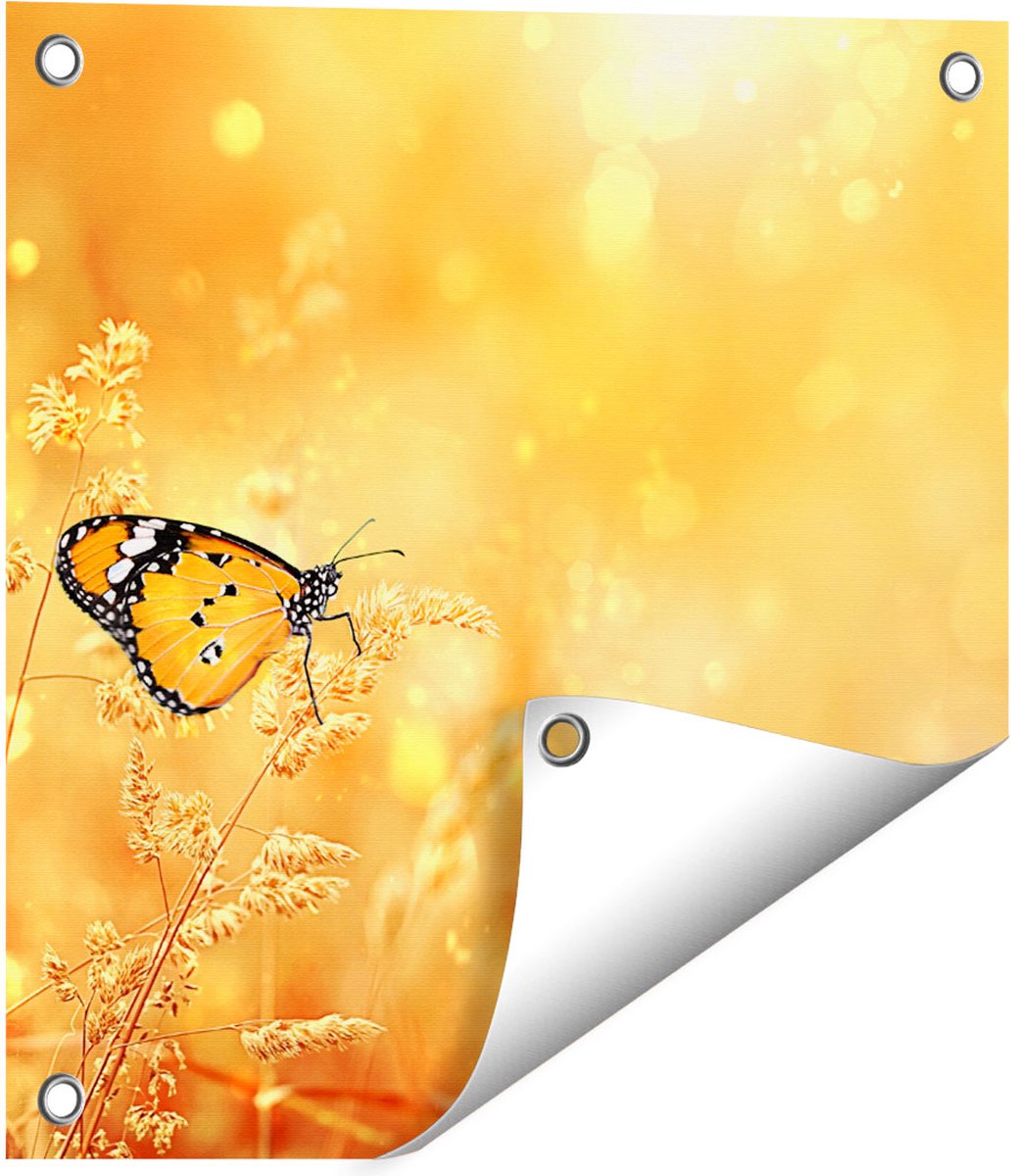 Gards Tuinposter Oranje Vlinder in het Oranje Veld - 40x40 cm - Tuindoek - Tuindecoratie - Wanddecoratie buiten - Tuinschilderij Multikleur