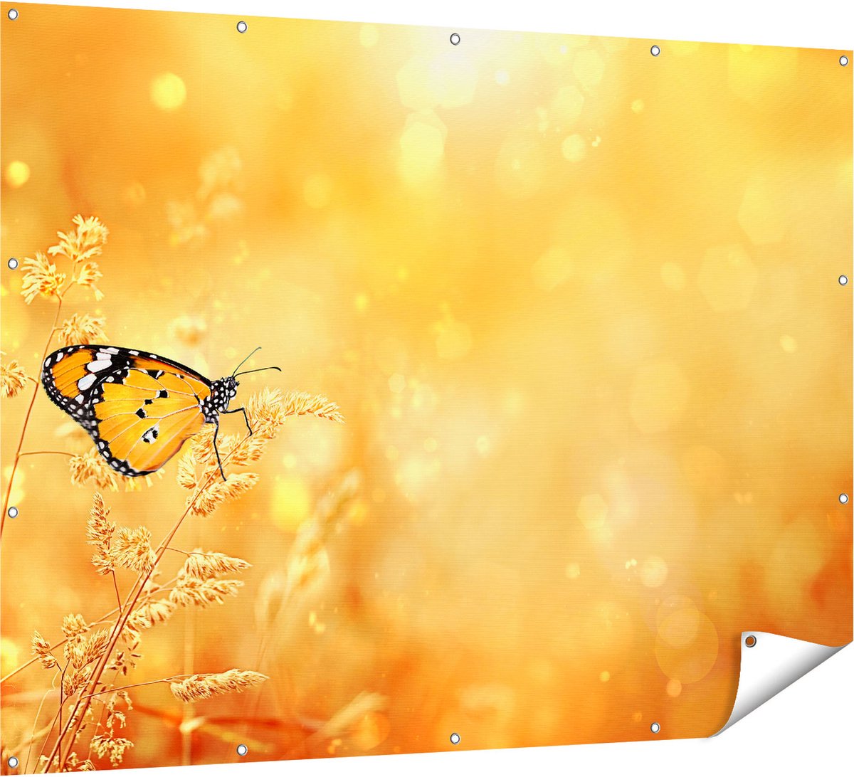 Gards Tuinposter Oranje Vlinder in het Oranje Veld - 160x120 cm - Tuindoek - Tuindecoratie - Wanddecoratie buiten - Tuinschilderij Multikleur