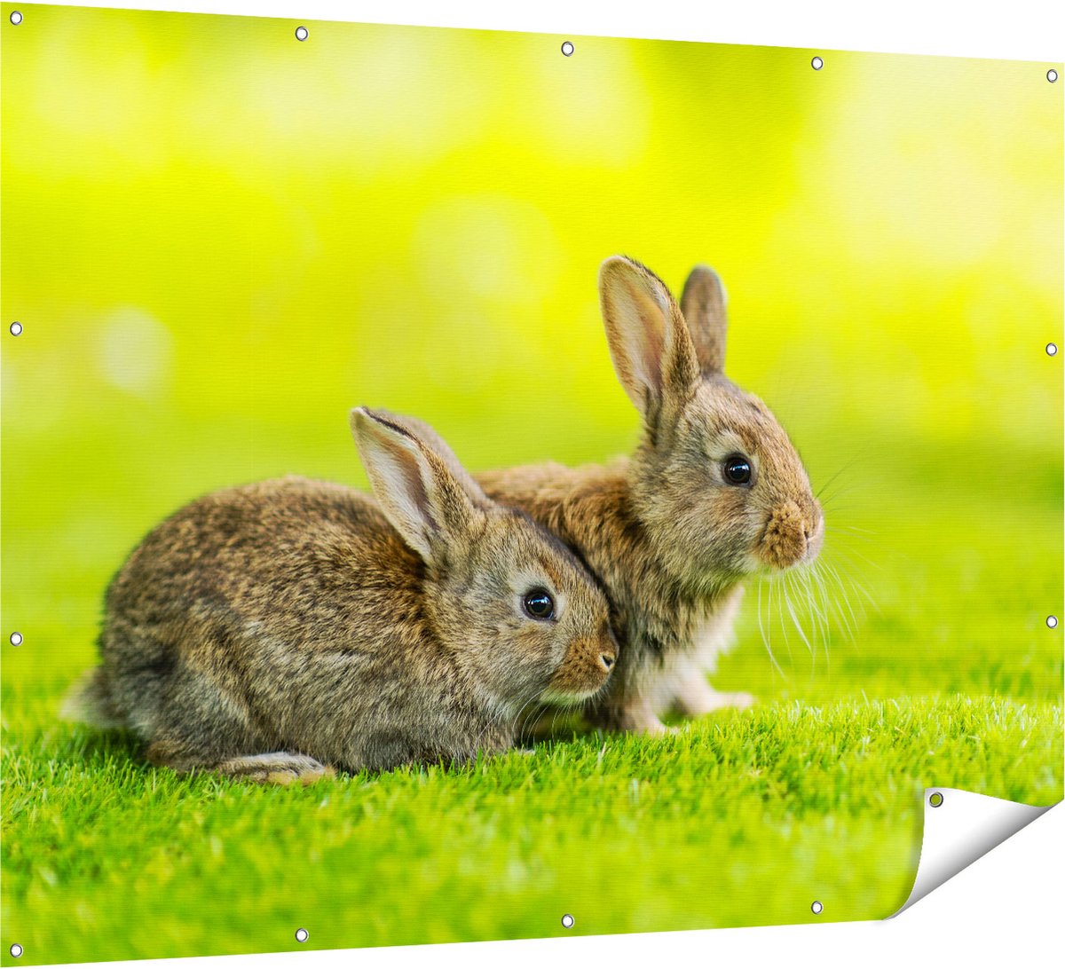 Gards Tuinposter Twee Konijnen op het Groene Gras - 160x120 cm - Tuindoek - Tuindecoratie - Wanddecoratie buiten - Tuinschilderij Multikleur