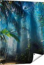 Affiche de jardin Gards Jungle dense avec rayons de soleil - 80x100 cm - Toile de jardin - Décoration de jardin - Décoration murale extérieure - Tableau de jardin