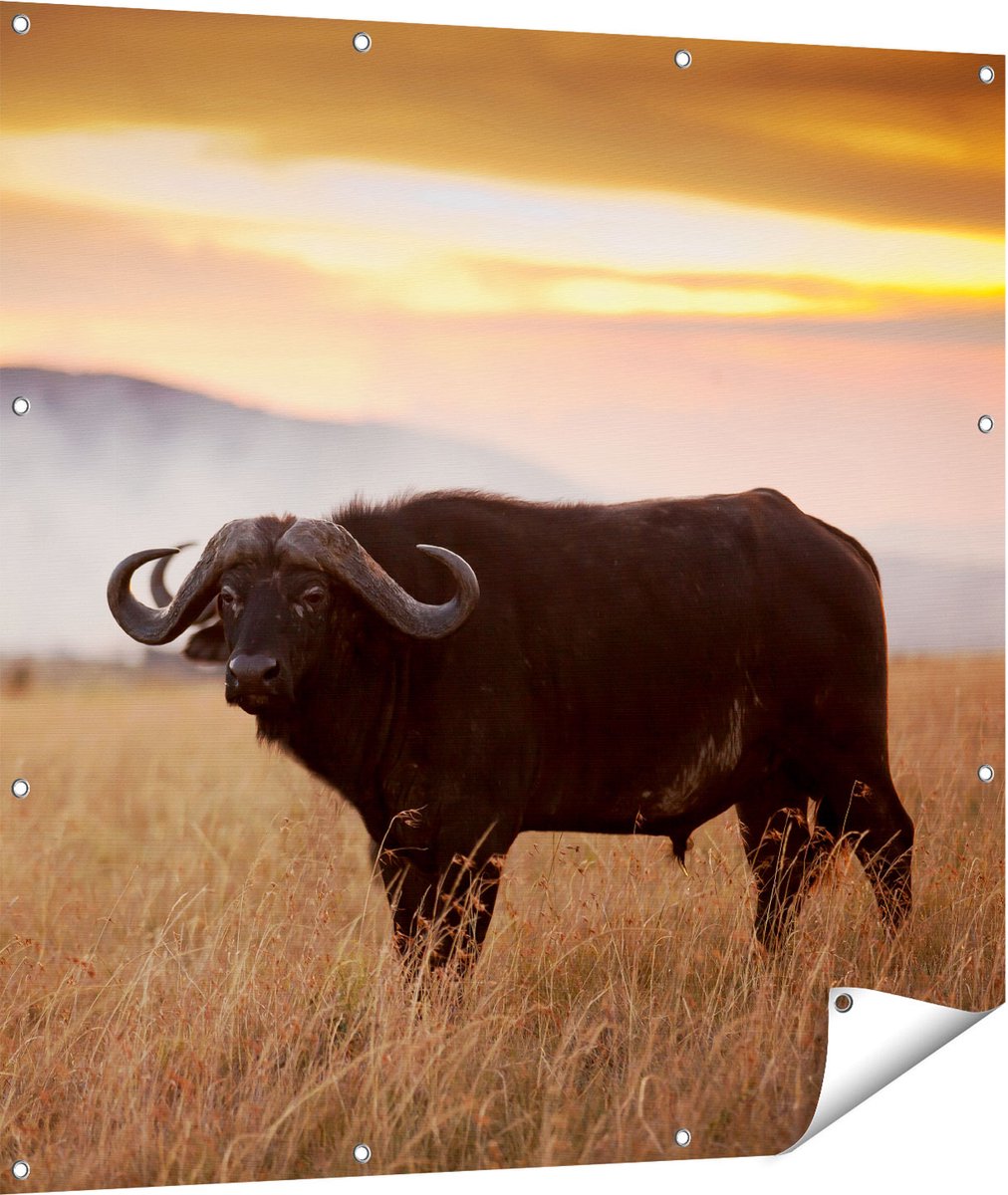 Gards Tuinposter Buffel in het Gras - 110x110 cm - Tuindoek - Tuindecoratie - Wanddecoratie buiten - Tuinschilderij Multikleur