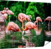 Gards Tuinposter Kudde Flamingo's in de Jungle in het Water - 150x120 cm - Tuindoek - Tuindecoratie - Wanddecoratie buiten - Tuinschilderij
