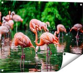 Gards Tuinposter Kudde Flamingo's in de Jungle in het Water - 80x60 cm - Tuindoek - Tuindecoratie - Wanddecoratie buiten - Tuinschilderij