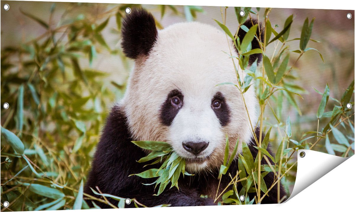 Gards Tuinposter Panda Eet Planten - 120x60 cm - Tuindoek - Tuindecoratie - Wanddecoratie buiten - Tuinschilderij Multikleur