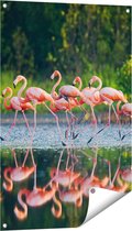 Gards Tuinposter Kudde Flamingo's op het Water - 60x90 cm - Tuindoek - Tuindecoratie - Wanddecoratie buiten - Tuinschilderij