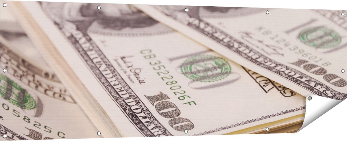 Gards Tuinposter Dollar Geld Briefjes - 180x60 cm - Tuindoek - Tuindecoratie - Wanddecoratie buiten - Tuinschilderij Multikleur