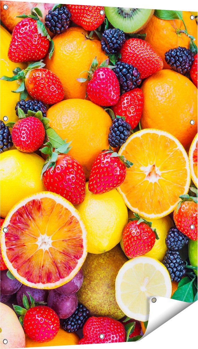 Gards Tuinposter Kleurrijke Fruit Achtergrond - 80x120 cm - Tuindoek - Tuindecoratie - Wanddecoratie buiten - Tuinschilderij Multikleur